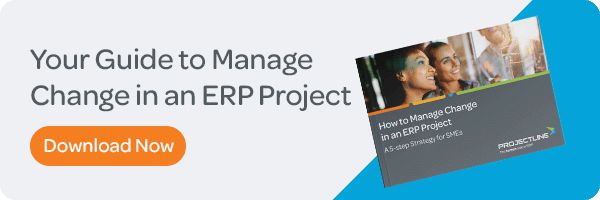 PDF Download: How to Manage Change in an ERP Project